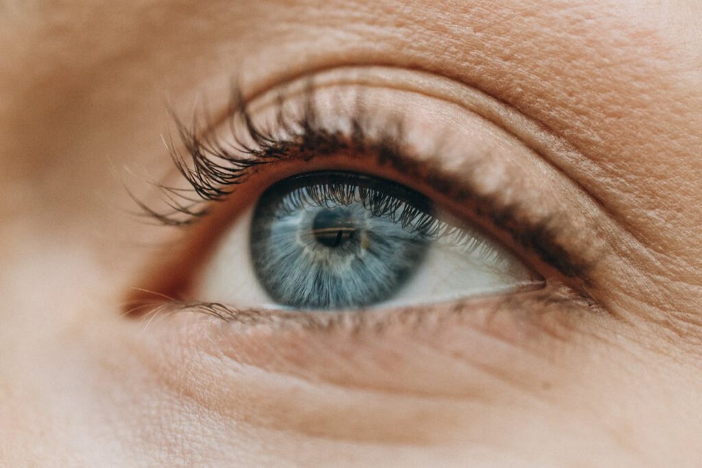 눈 건강과 시력을 보호하는 방법